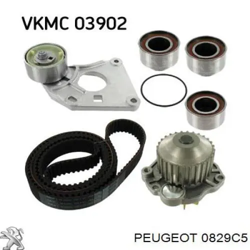 Tensor, correa dentada Peugeot 406 8B