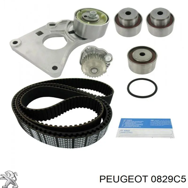 0829C5 Peugeot/Citroen tensor de la correa de distribución
