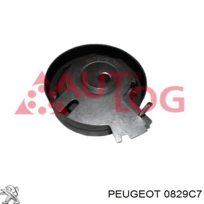 0829C7 Peugeot/Citroen rodillo, cadena de distribución