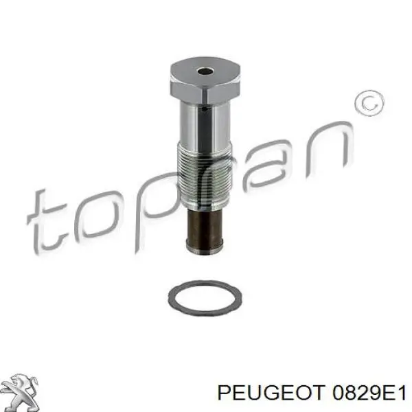 0829E1 Peugeot/Citroen tensor, cadena de distribución