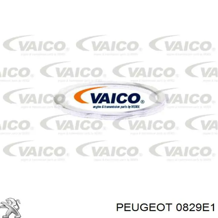 9816058580 Peugeot/Citroen Tensor de cadena de distribución