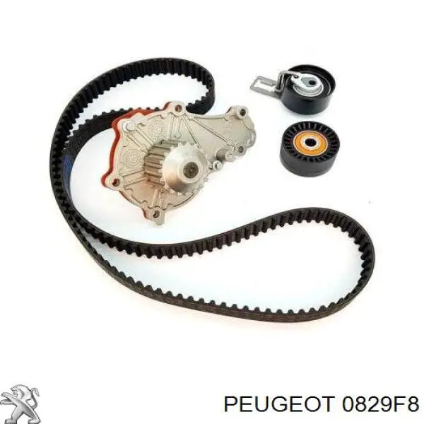 Tensor correa distribución 0829F8 Peugeot/Citroen