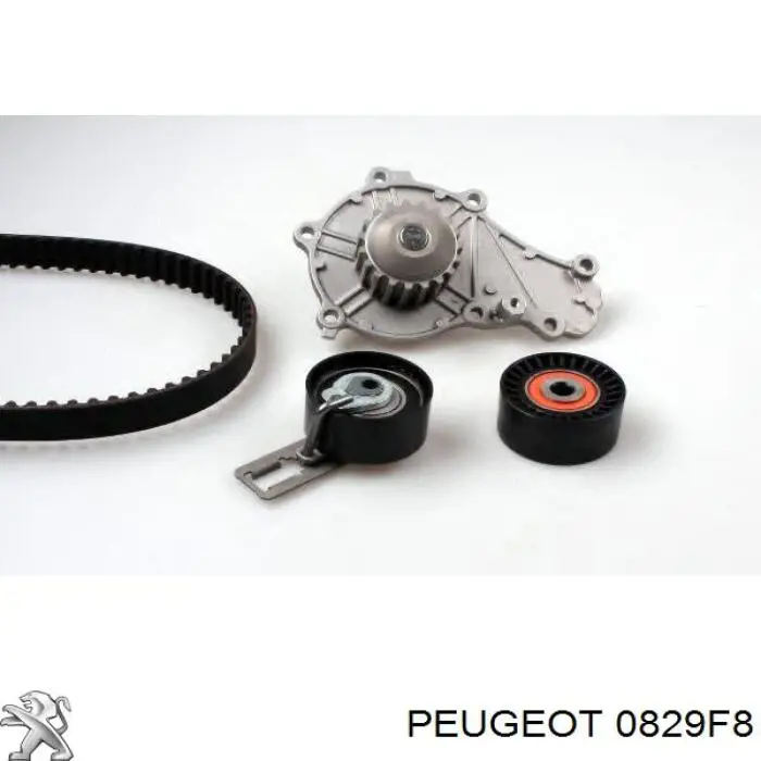 Rodillo tensor cadena Peugeot/Citroen 0829F8