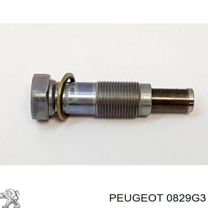 Tensor de cadena de distribución Peugeot/Citroen 00000829G3 precio, desde 33,22 EUR