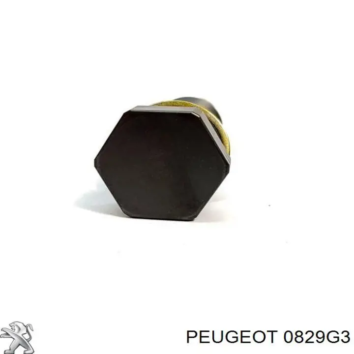 Tensor de cadena de distribución 00000829G3 Peugeot/Citroen