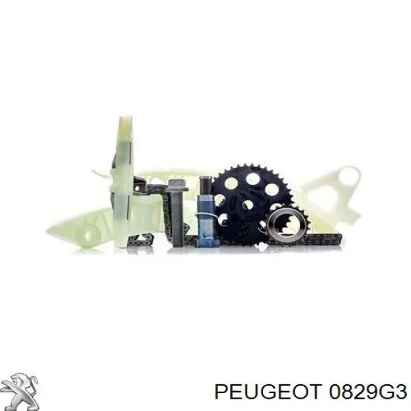 Tensor de cadena de distribución 00000829G3 Peugeot/Citroen
