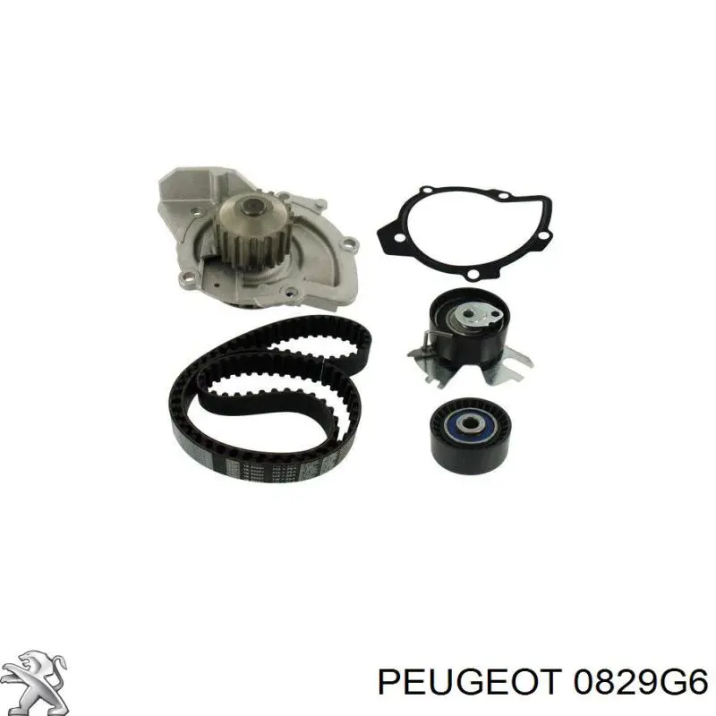 0829G6 Peugeot/Citroen rodillo, cadena de distribución