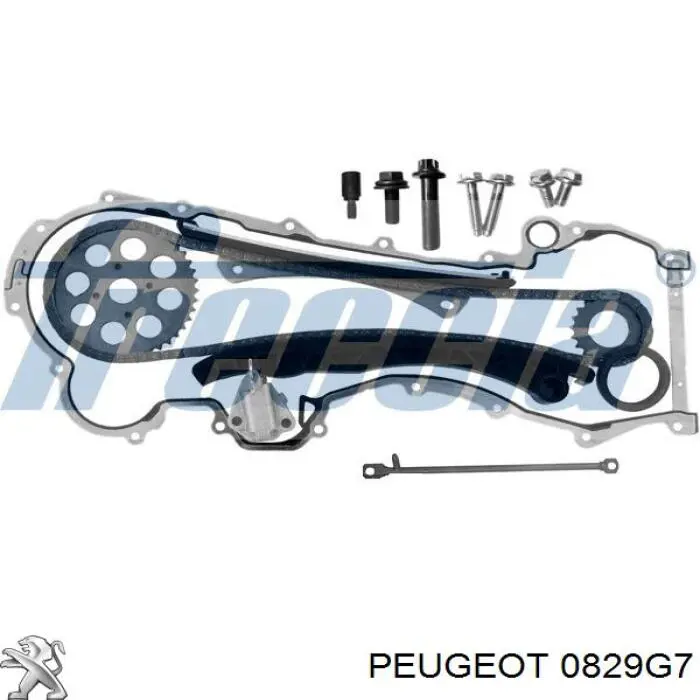 0829G7 Peugeot/Citroen zapata cadena de distribuicion