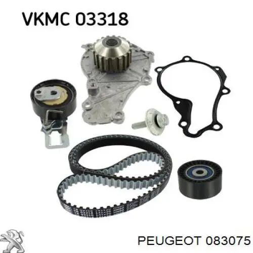 Polea correa distribución 083075 Peugeot/Citroen