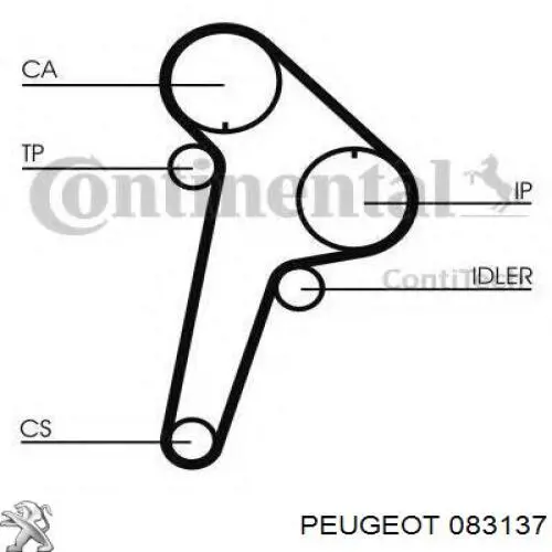 Juego de correas dentadas Peugeot/Citroen 083137 precio, desde 117,25 EUR