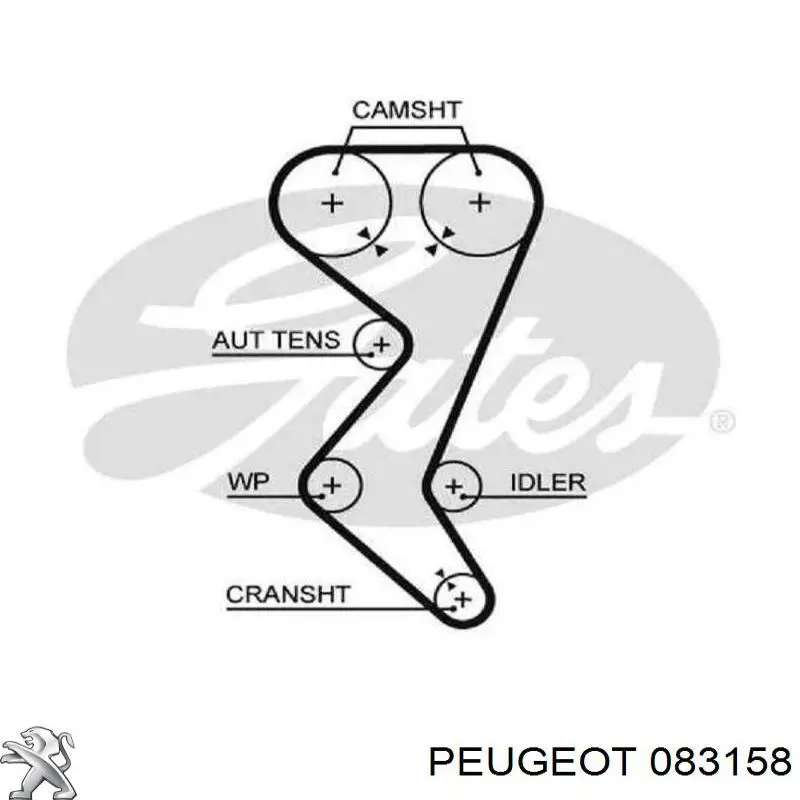 Juego de correas dentadas Peugeot/Citroen 083158 precio, desde 53,19 EUR