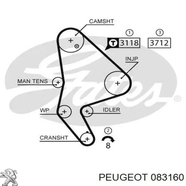 Kit distribución Peugeot/Citroen 00000831S3