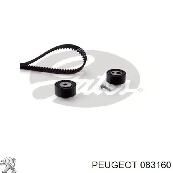 00000831S3 Peugeot/Citroen Kit correa de distribución