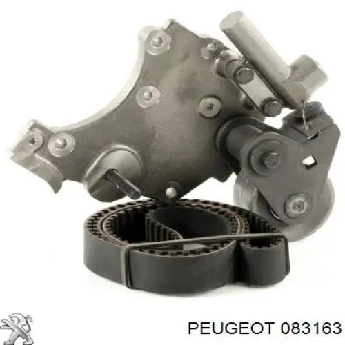 083163 Peugeot/Citroen kit correa de distribución