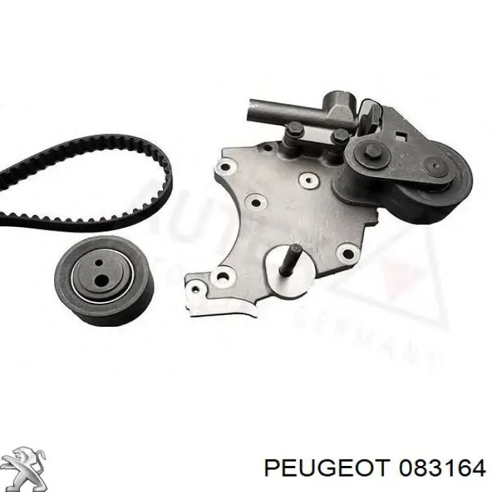 Comprar 083164 Peugeot/Citroen Kit de correa de distribución