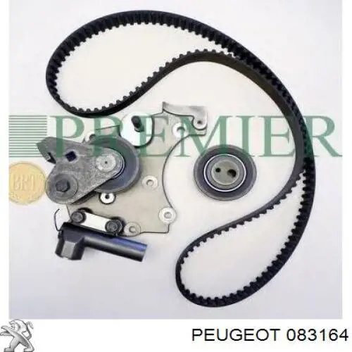 083164 Peugeot/Citroen kit correa de distribución