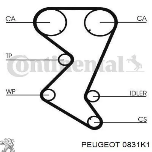 0831K1 Peugeot/Citroen kit de correa de distribución