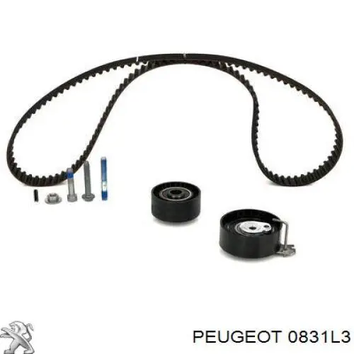 0831L3 Peugeot/Citroen kit de distribución