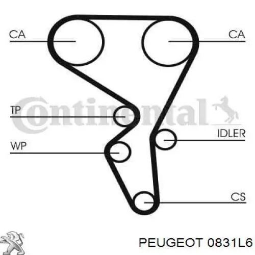 0831L6 Peugeot/Citroen kit de correa de distribución
