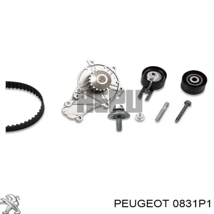0831P1 Peugeot/Citroen kit de correa de distribución