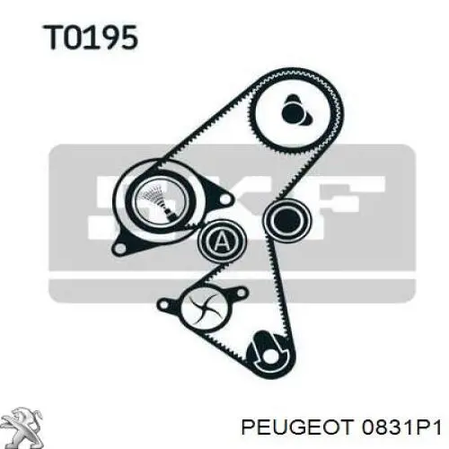 Juego de correas dentadas Peugeot/Citroen 0831P1 precio, desde 103,13 USD