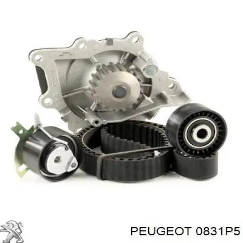 Kit de distribución 0831P5 Peugeot/Citroen