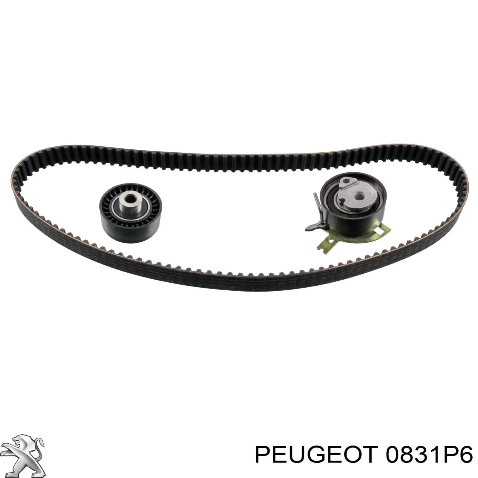 0831P6 Peugeot/Citroen kit de correa de distribución