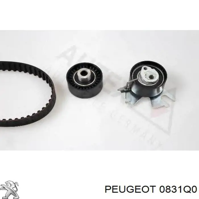 0831Q0 Peugeot/Citroen kit de correa de distribución