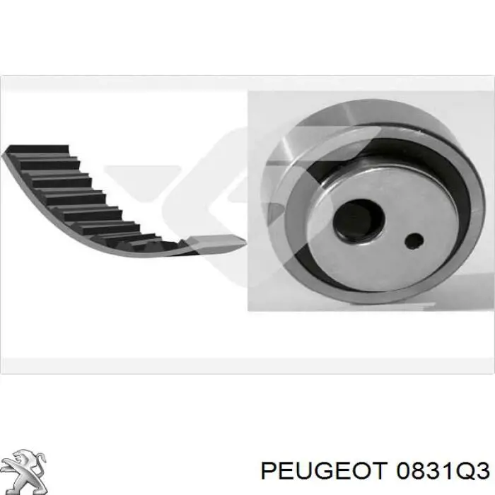 0831Q3 Peugeot/Citroen kit de correa de distribución