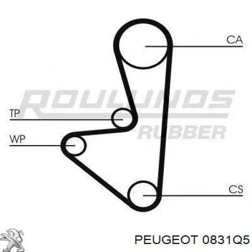 0831Q5 Peugeot/Citroen kit de correa de distribución