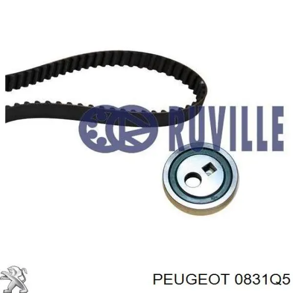 Juego de correas dentadas Peugeot/Citroen 0831Q5 precio, desde 35,53 EUR