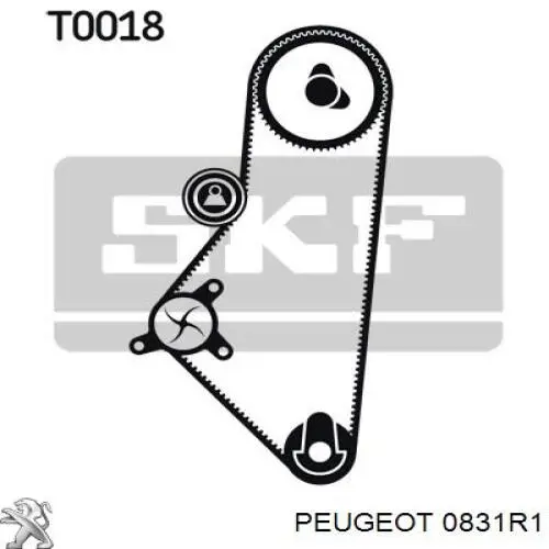 0831R1 Peugeot/Citroen kit de correa de distribución