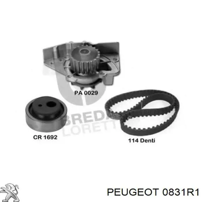 Juego de correas dentadas Peugeot/Citroen 83106 precio, desde 39,63 EUR