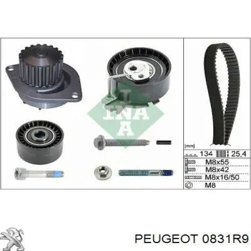 Kit de distribución 0831R9 Peugeot/Citroen