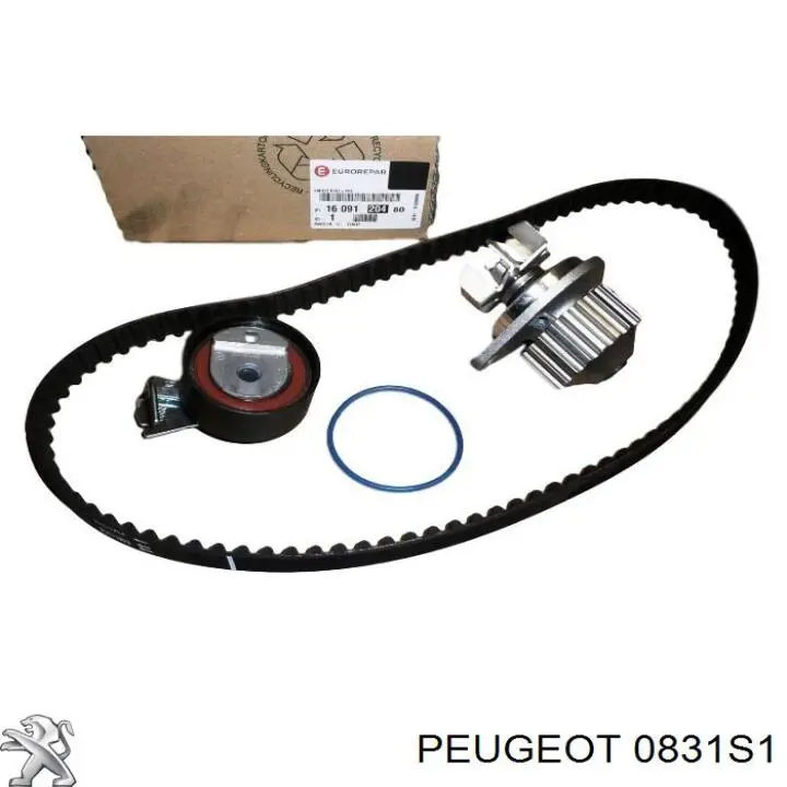 0831S1 Peugeot/Citroen kit de correa de distribución
