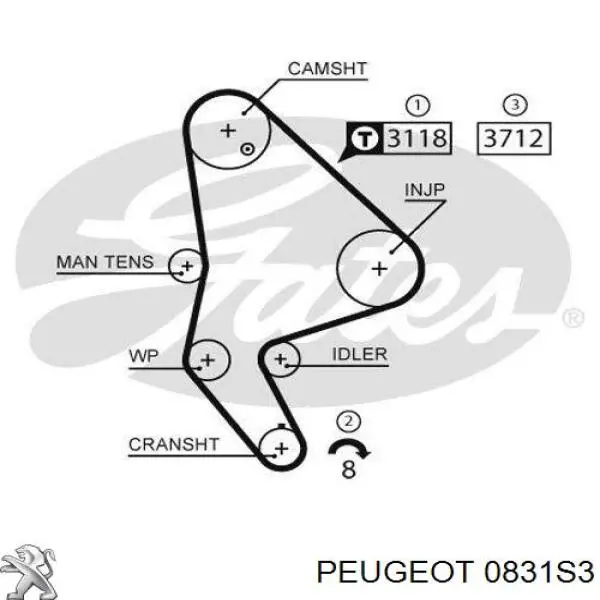 Kit distribución Peugeot/Citroen 0831S3