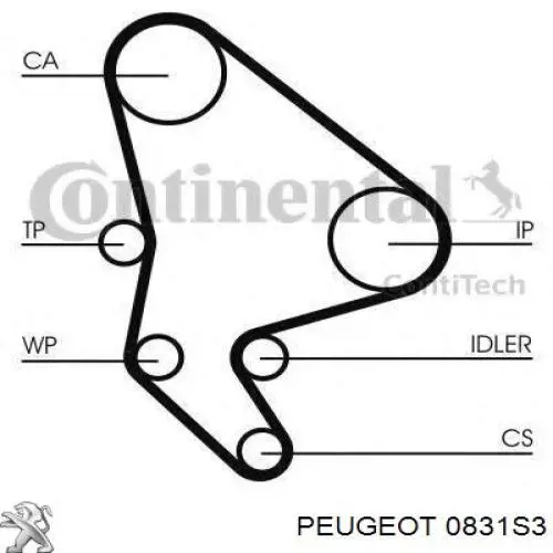 0831S3 Peugeot/Citroen Kit correa de distribución