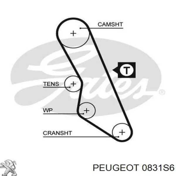 0831S6 Peugeot/Citroen kit correa de distribución