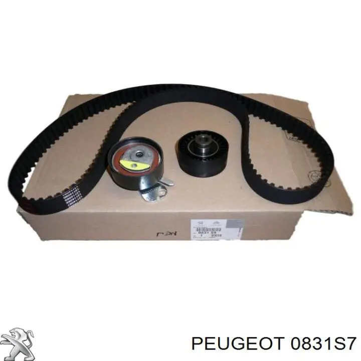 0831S7 Peugeot/Citroen kit de distribución