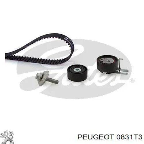 Juego de correas dentadas Peugeot/Citroen 0831T3 precio, desde 62,95 EUR