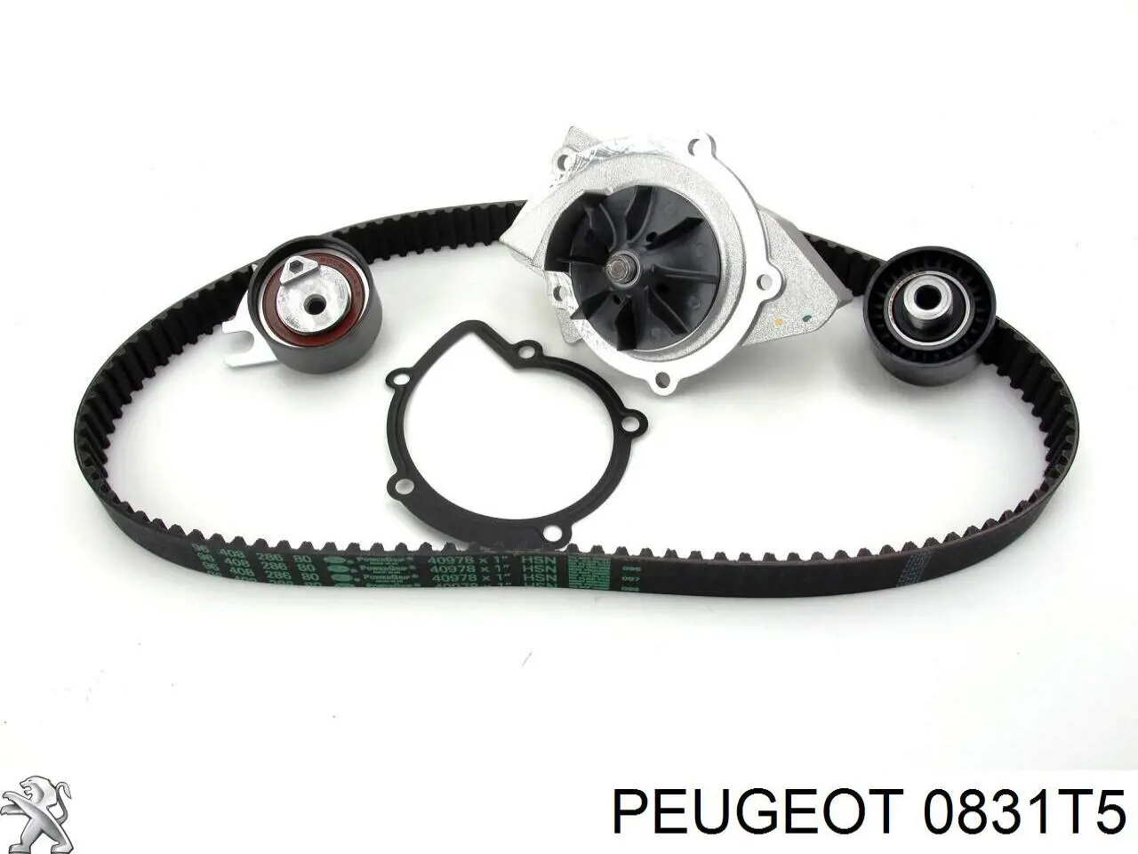 0831T5 Peugeot/Citroen kit de correa de distribución