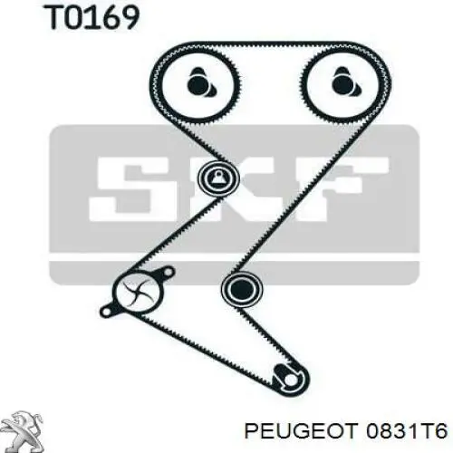 0831T6 Peugeot/Citroen kit correa de distribución