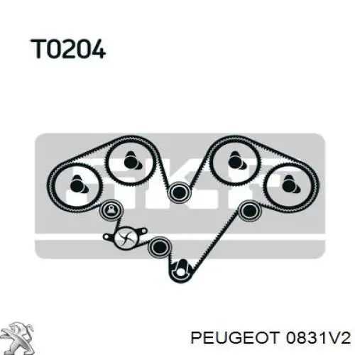 0831V2 Peugeot/Citroen kit correa de distribución