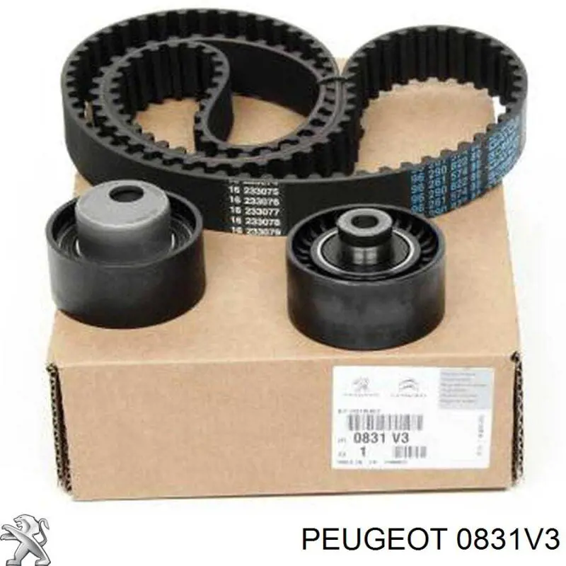0831V3 Peugeot/Citroen Kit correa de distribución