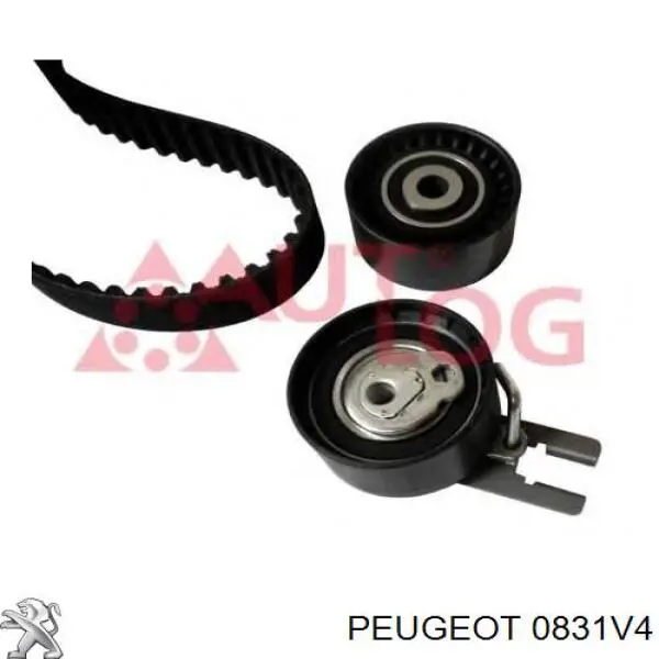 Juego de correas dentadas Peugeot/Citroen 0831V4 precio, desde 65,76 EUR
