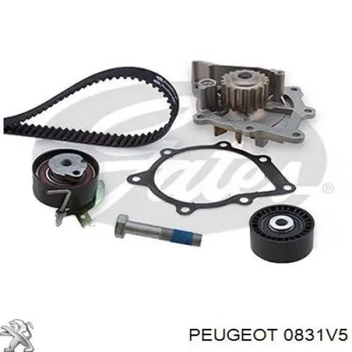 Kit de distribución 0831V5 Peugeot/Citroen