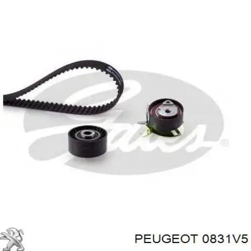 Comprar 0831V5 Peugeot/Citroen Kit de correa de distribución