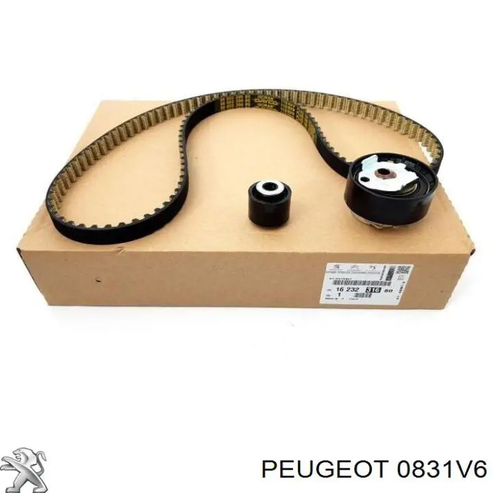 Kit distribución Peugeot/Citroen 0831V6