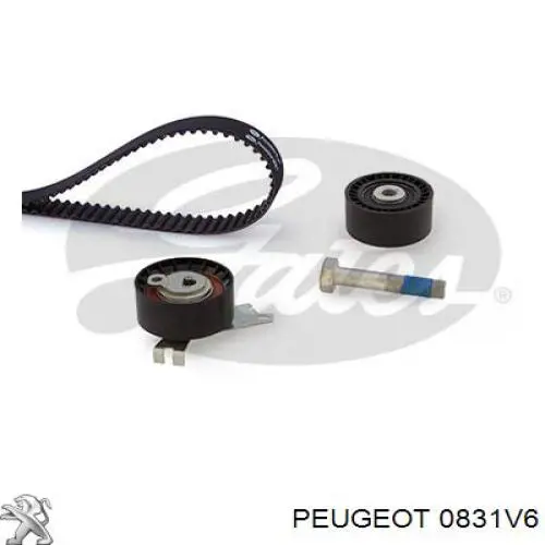 0831V6 Peugeot/Citroen kit de correa de distribución
