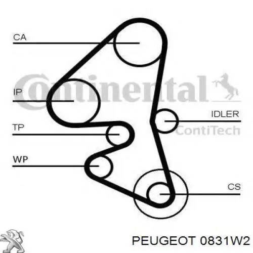 0831W2 Peugeot/Citroen kit de correa de distribución